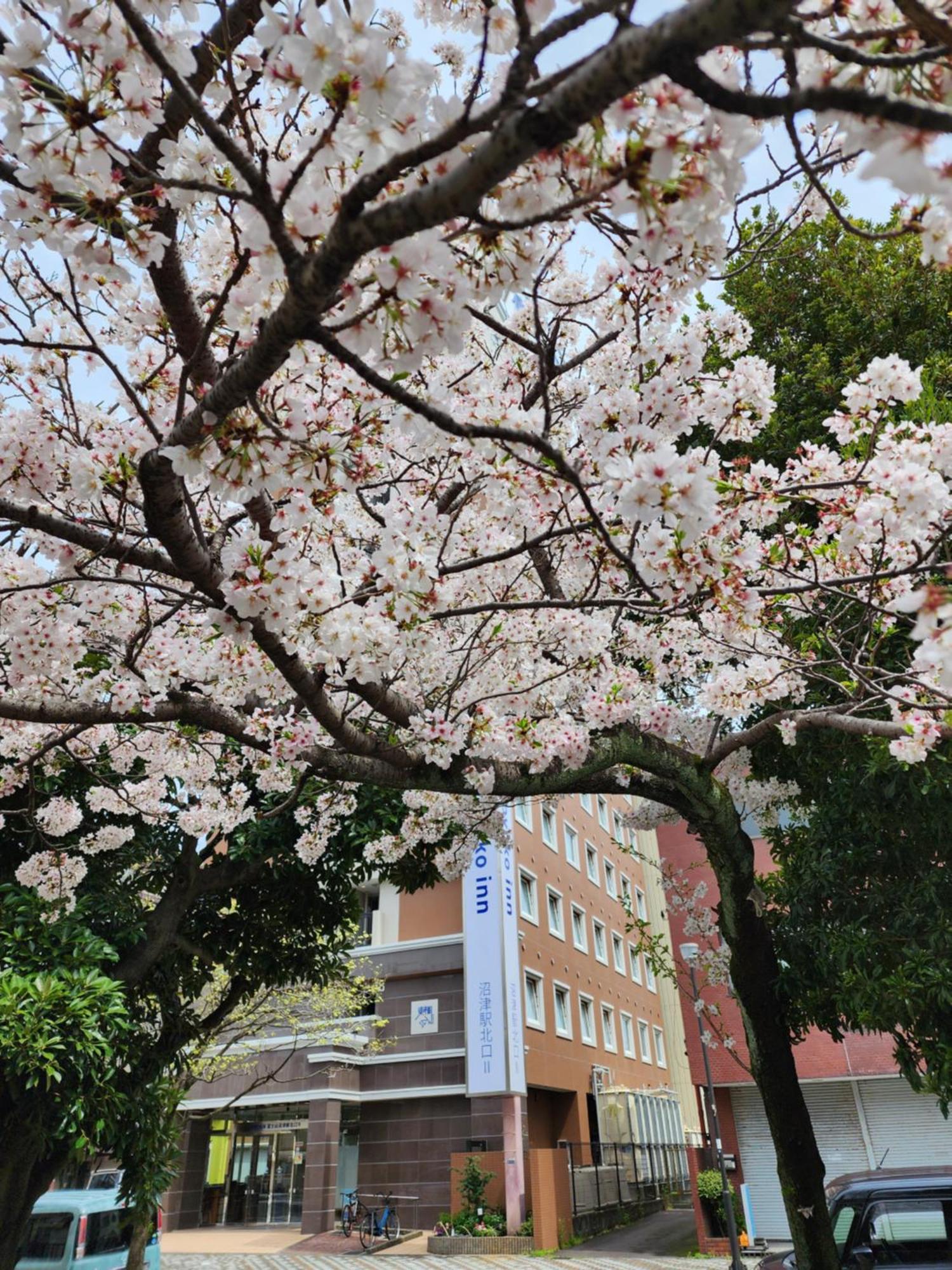 Toyoko Inn Fujisan Numazu Eki Kita Guchi No 2 Exterior foto
